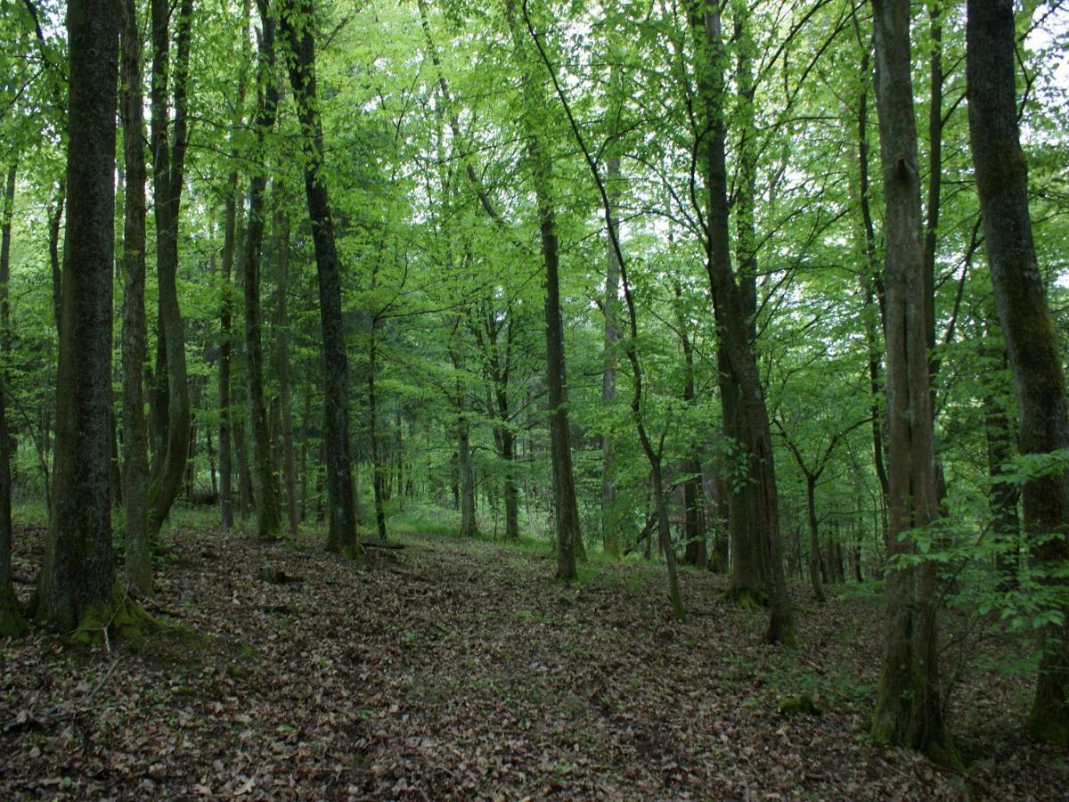 L'Ermitage Du Rebberg Urmatt Exterior photo